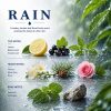 Rain Car Fragrance — ingredient breakdown: lemon, blackcurrant, tomato leaf, freesia, rose